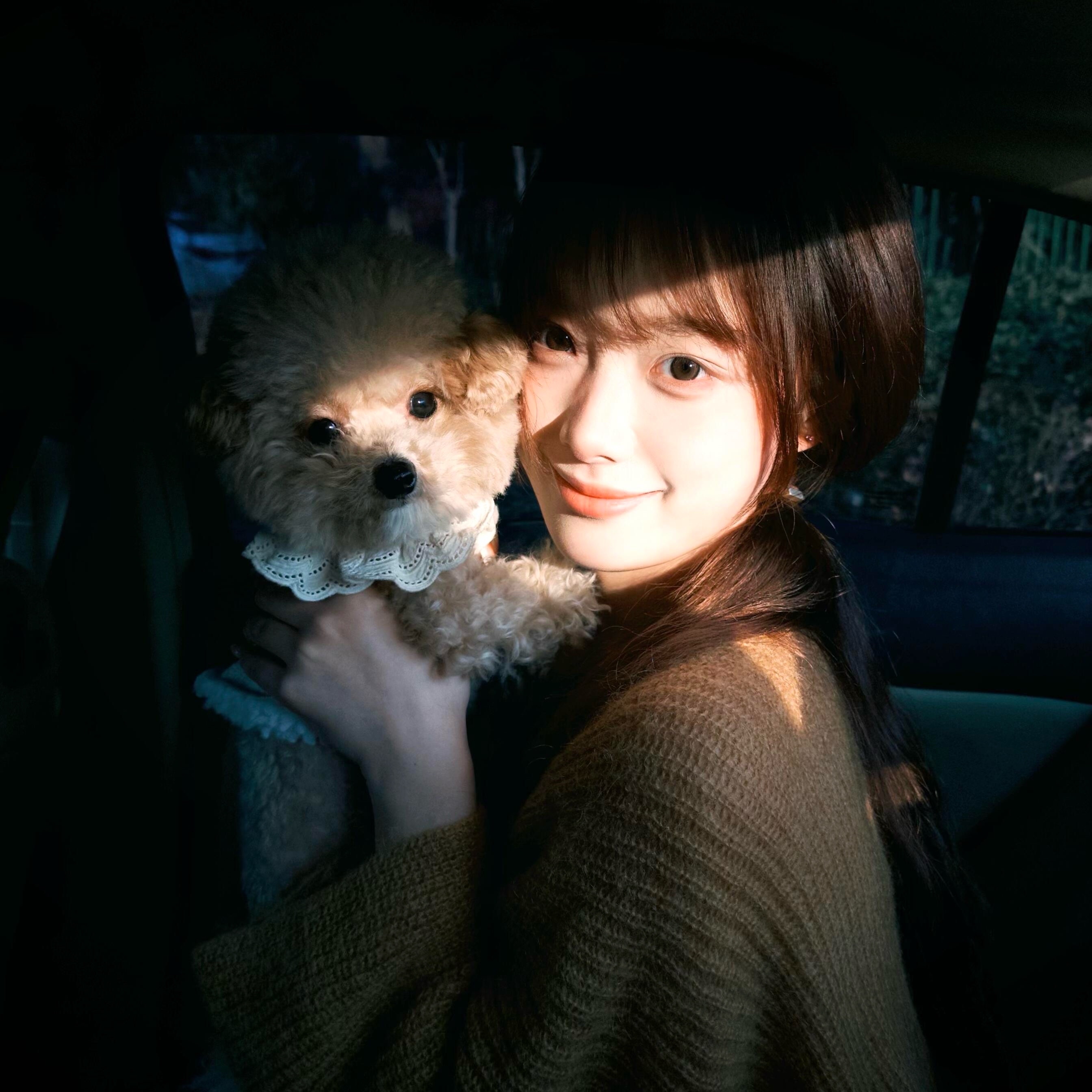 Muzze || Art & History Museum